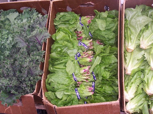 buy organic food inexpensively