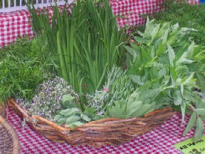 cheaper organic food 