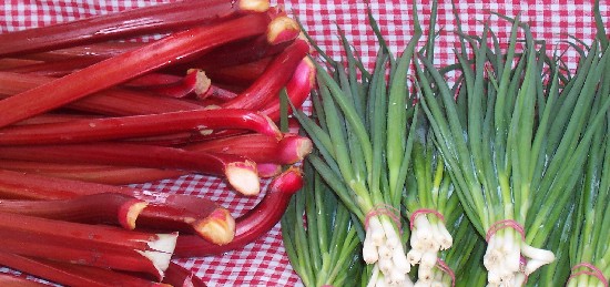 inexpensive organic food