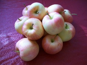 organic food is it safer